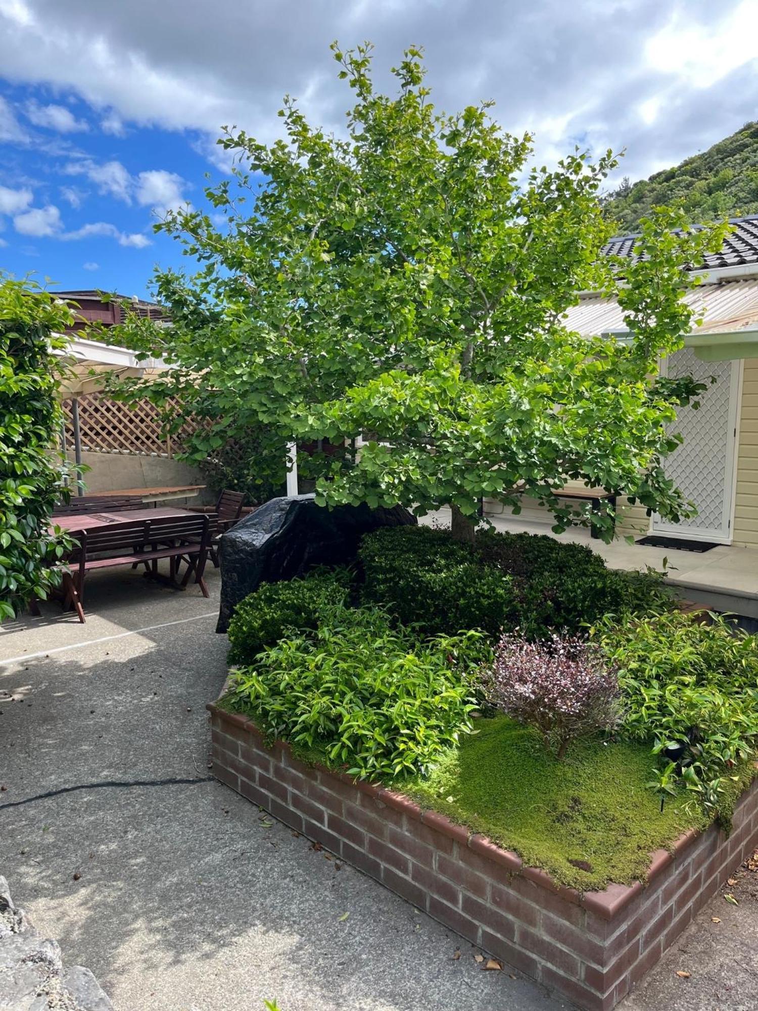 Retro 4 Bedroom Home, Warm And Welcoming, Quiet Location ポリルア エクステリア 写真